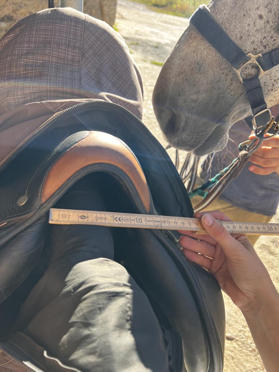 Selle  Hervé godignon