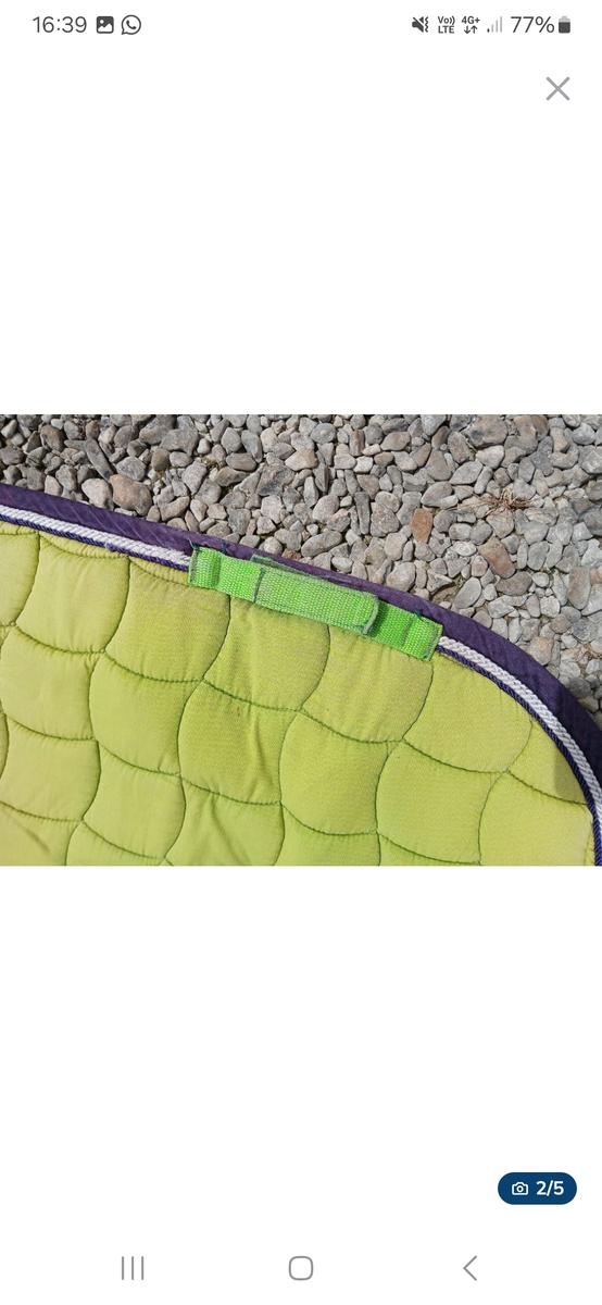 Tapis et protection des membres