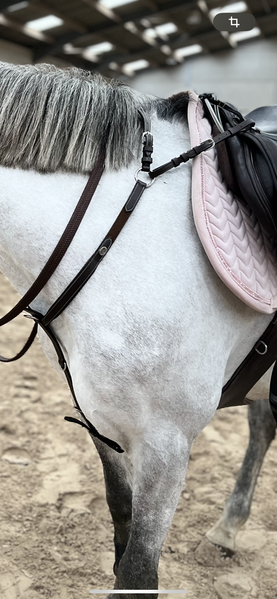 Collier de chasse Dy’on