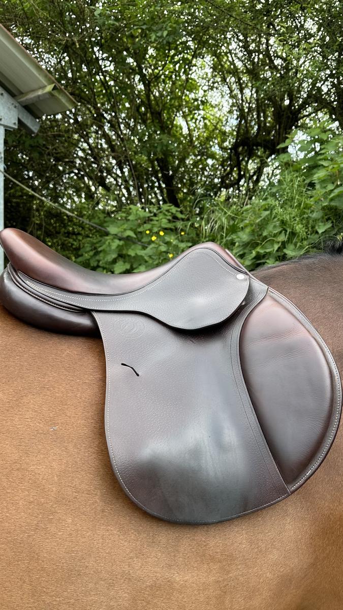 Selle Antarès Modèle Signature 17”