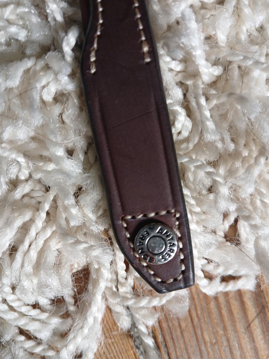 Frontal cheval Antarès