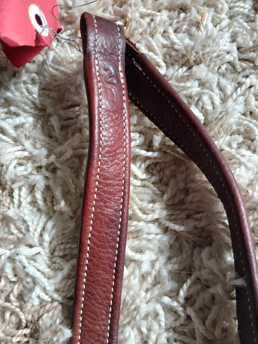 Etrivières dressage Antarès