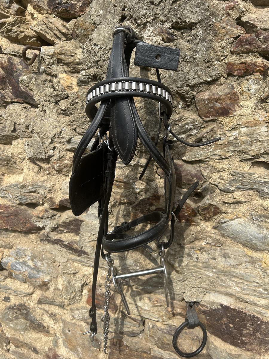 Filet d’attelage. Poney.