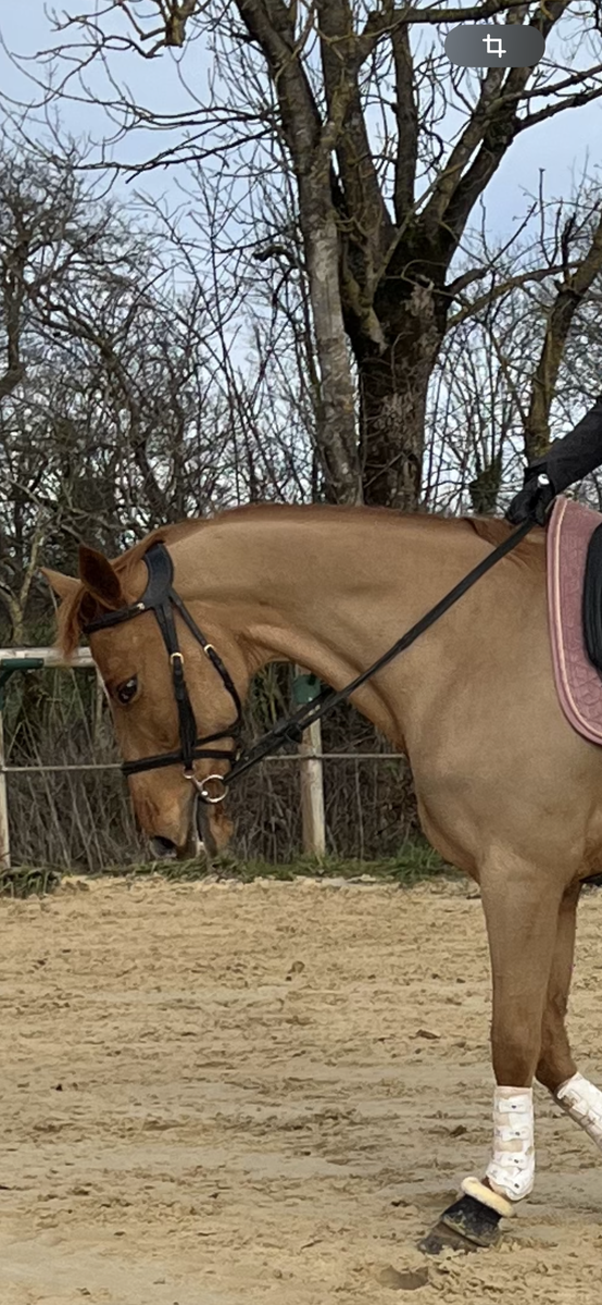 Bridon Dy’on Difference