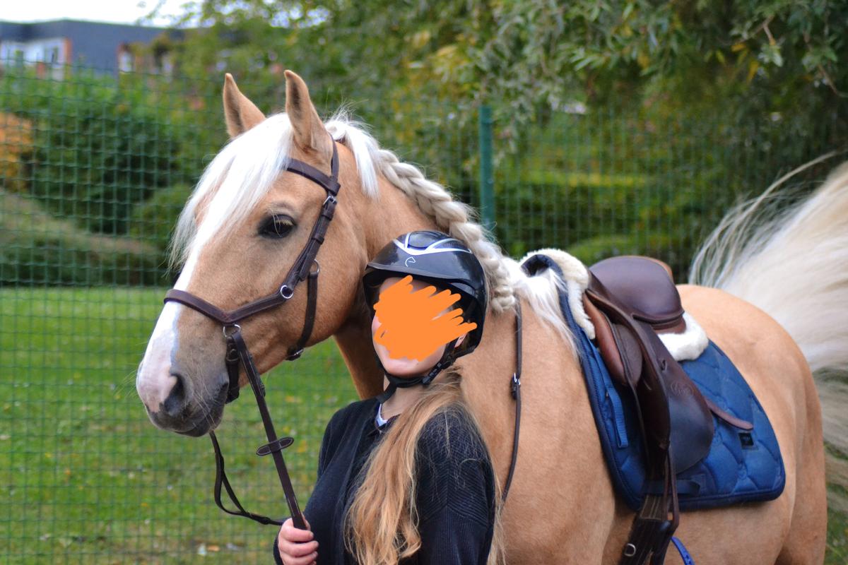 Tapis equestrian stockholm bleu paillettes