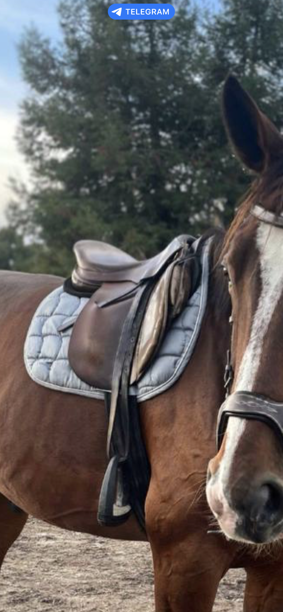 Tapis performance gris clair