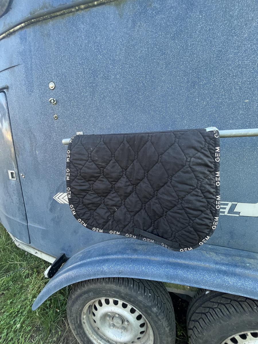 𝐓𝐚𝐩𝐢𝐬 𝐆𝐄𝐌