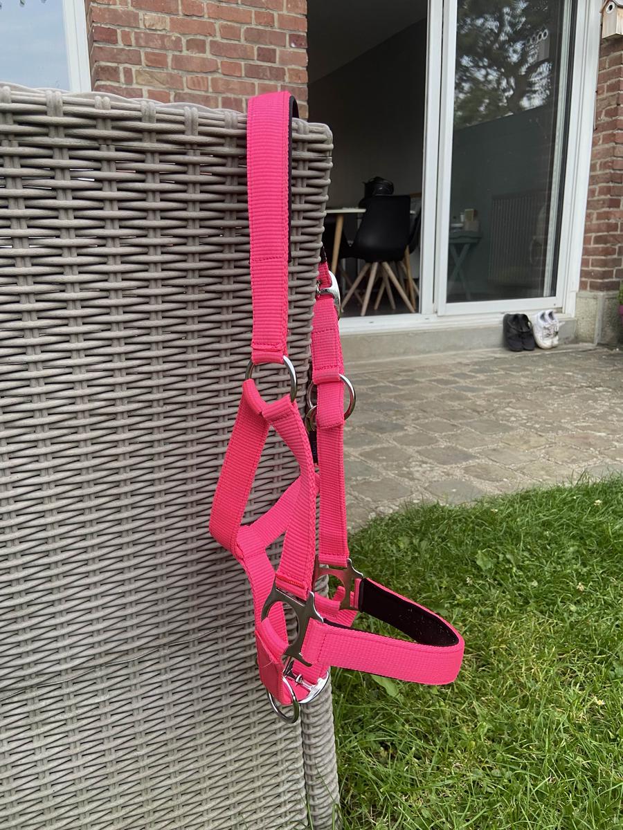 Licol Norton poney rose