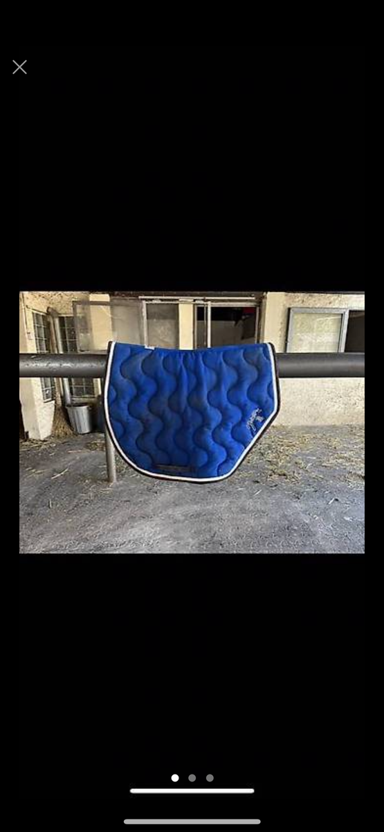 tapis pénélope bleu roi