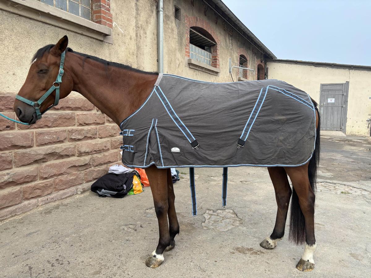 chemise d’ecurie 130cm equitheme