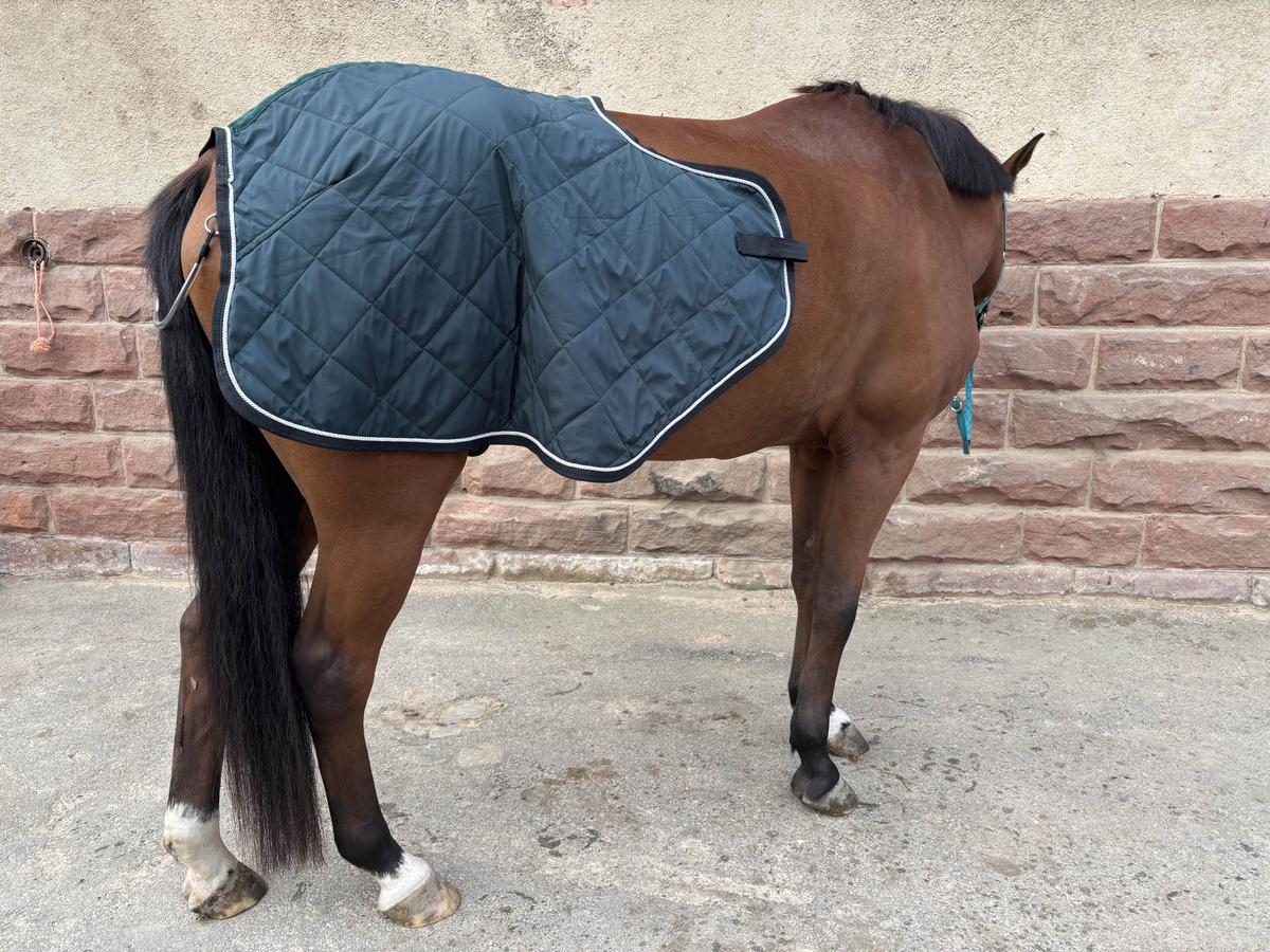 couvre rein harcour vert sapin 🌲 125cm