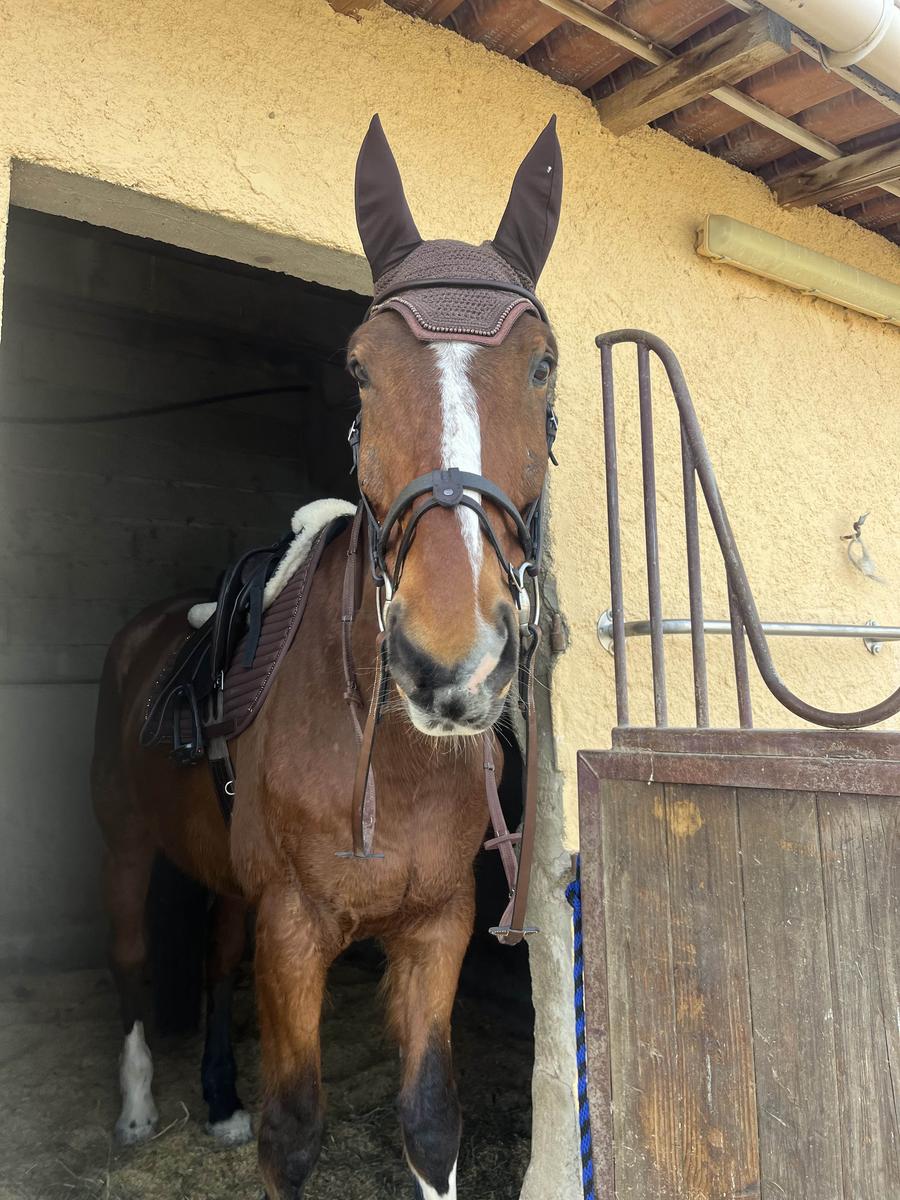 tapis + bonnet kentucky