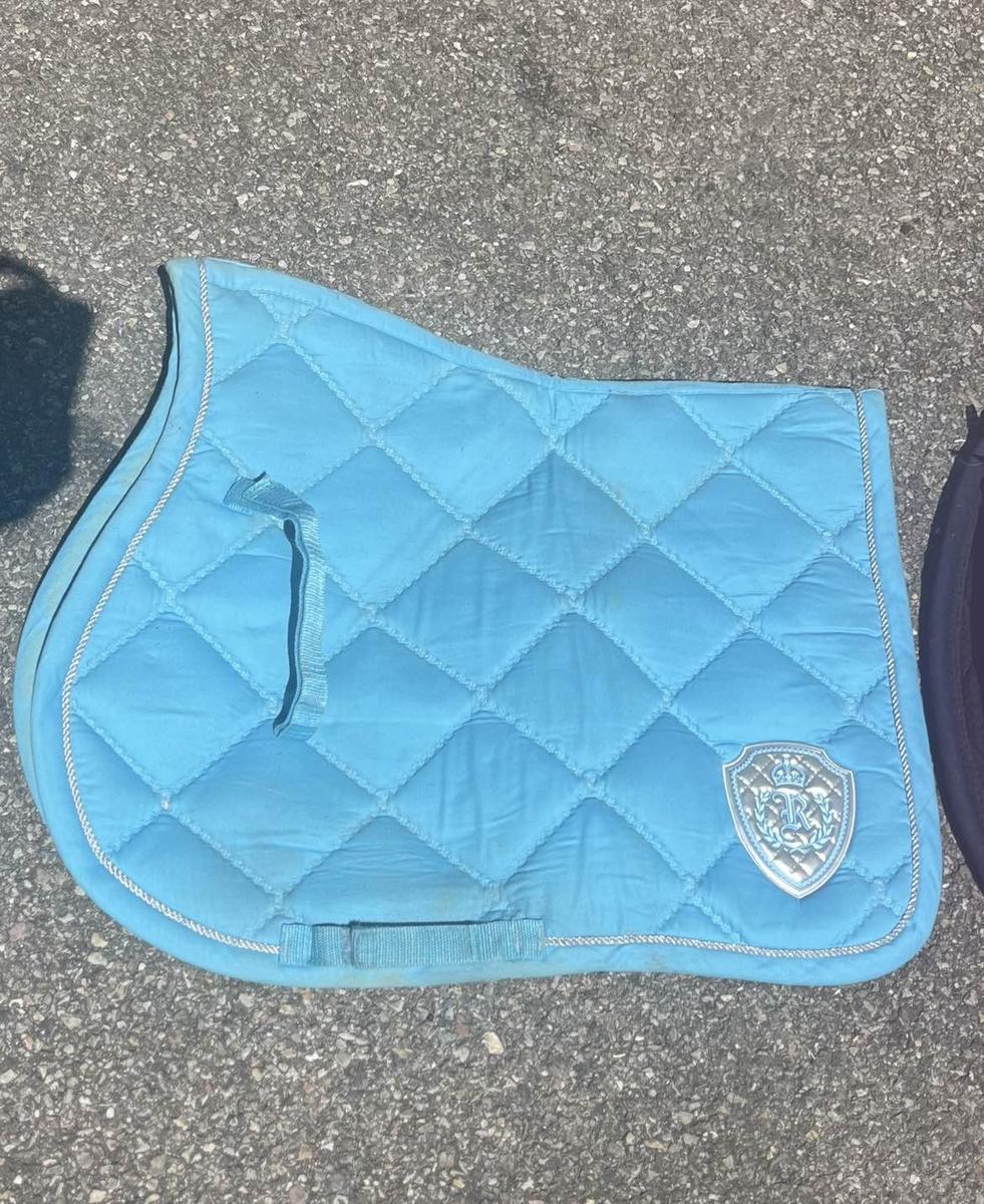 Tapis equitheme bleu