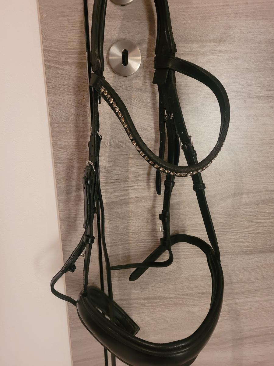 Bridon Passier Fortuna Cob