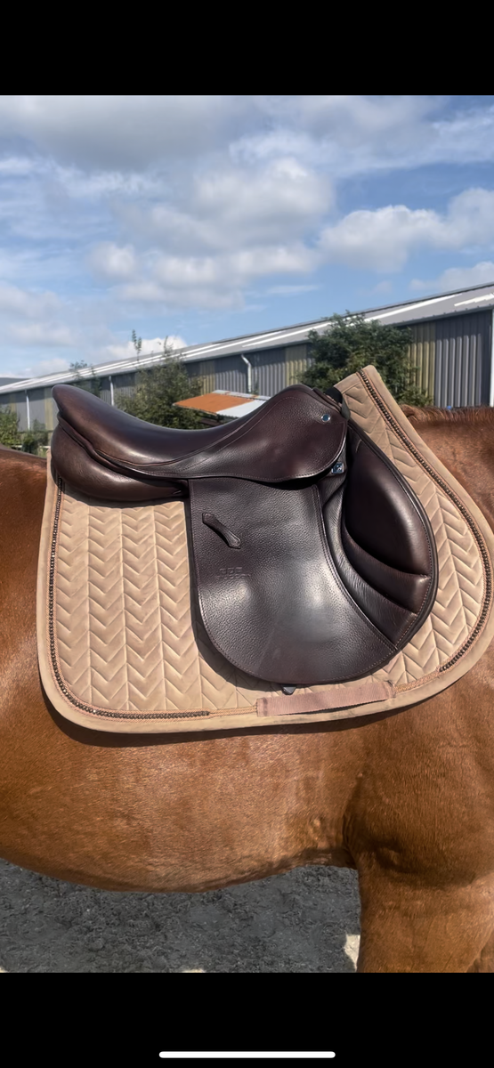 Selle d’obstacle Stübben