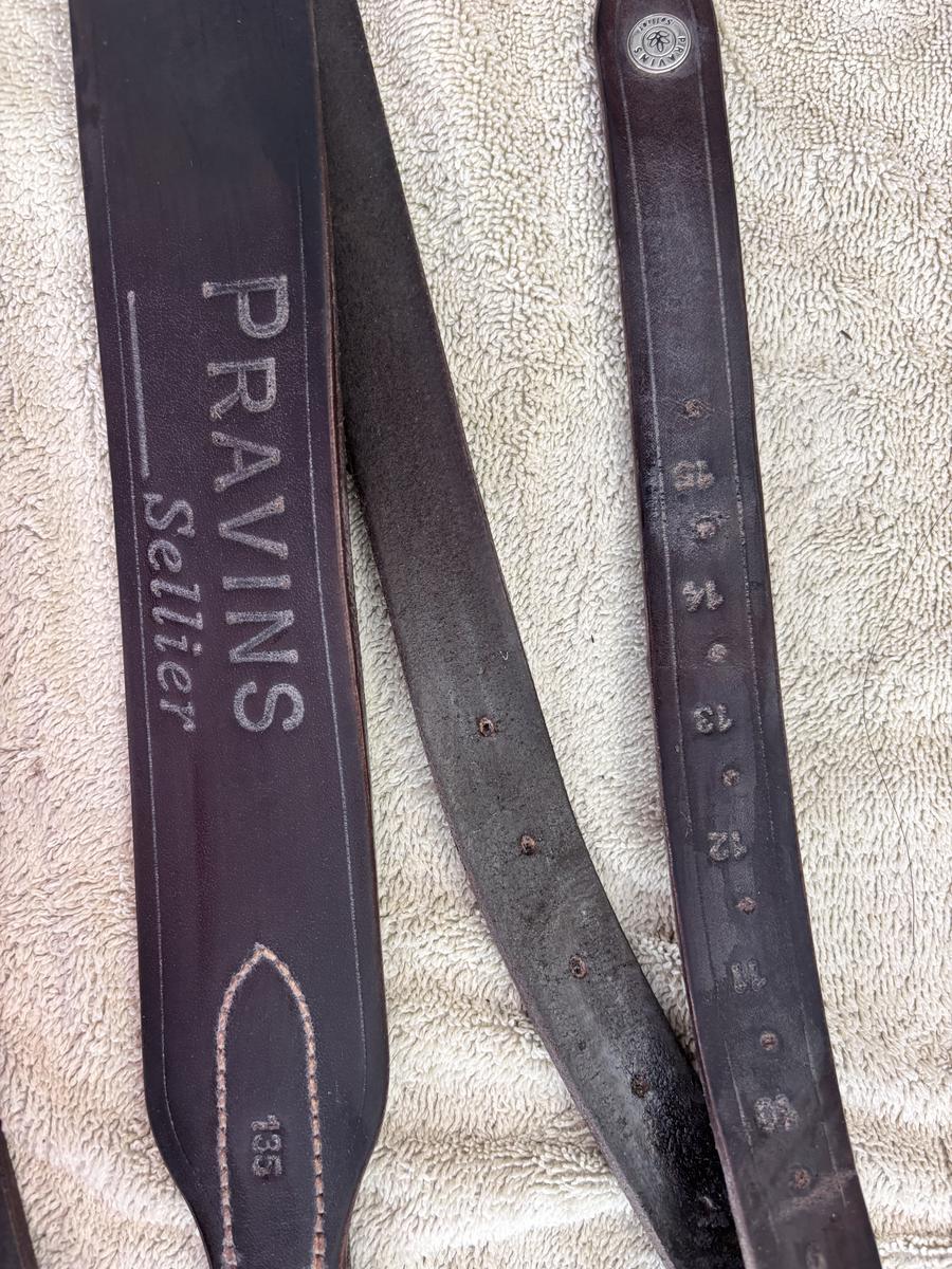 Paire d’etrivieres Pravins